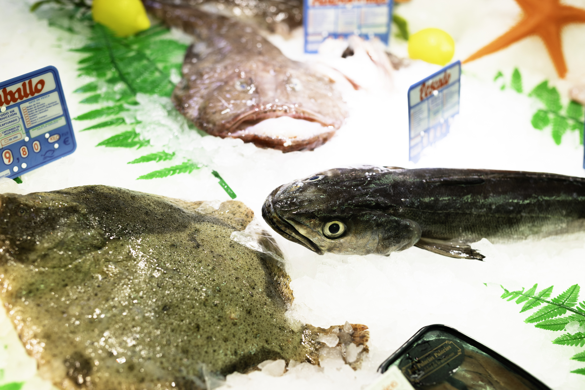 Fotografía 3 del mercado