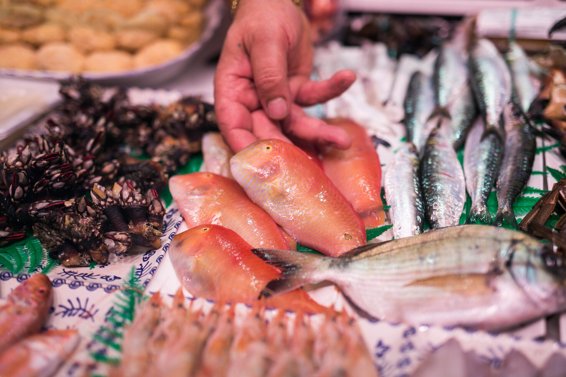 Fotografía 0 del mercado