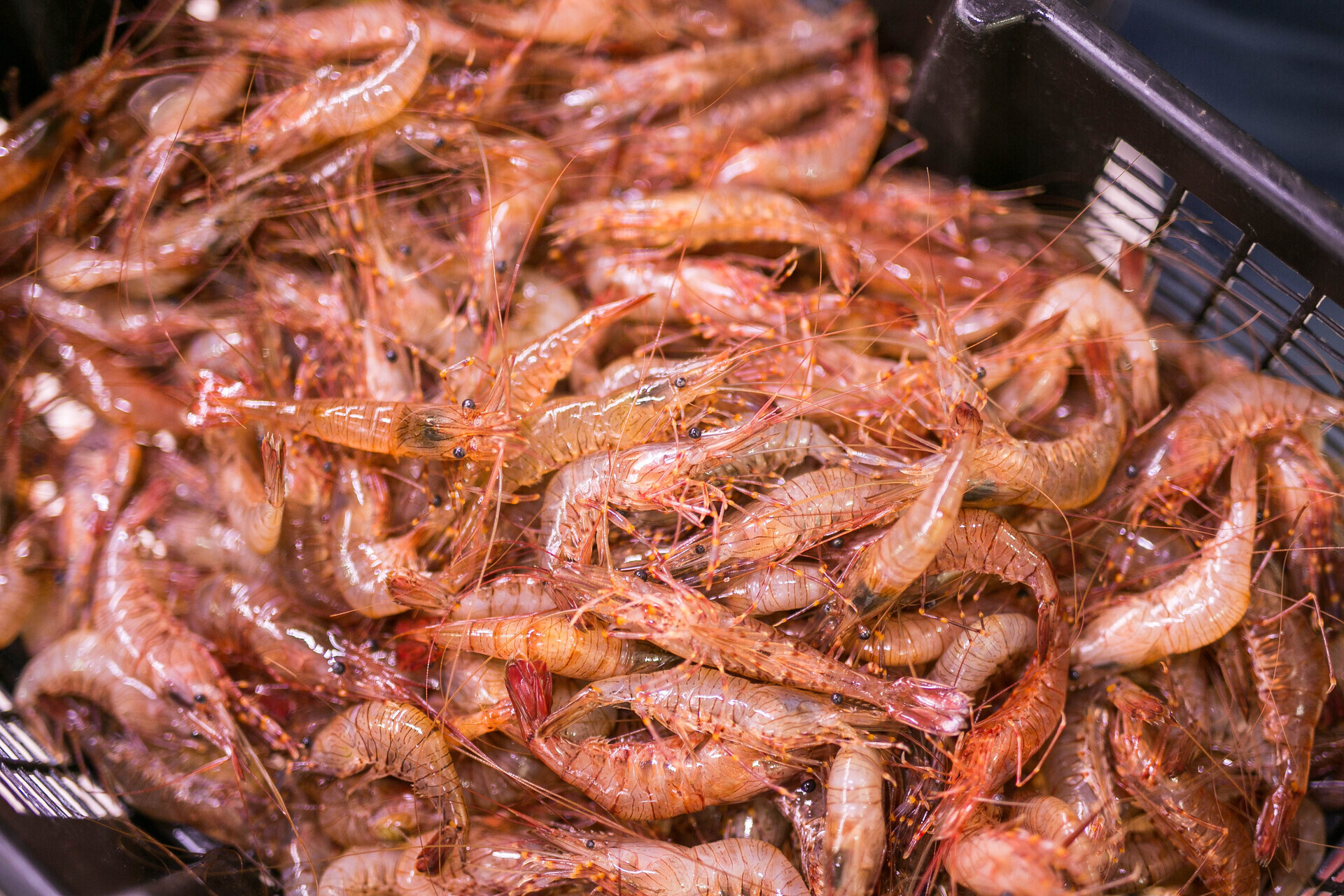 Fotografía 3 del mercado