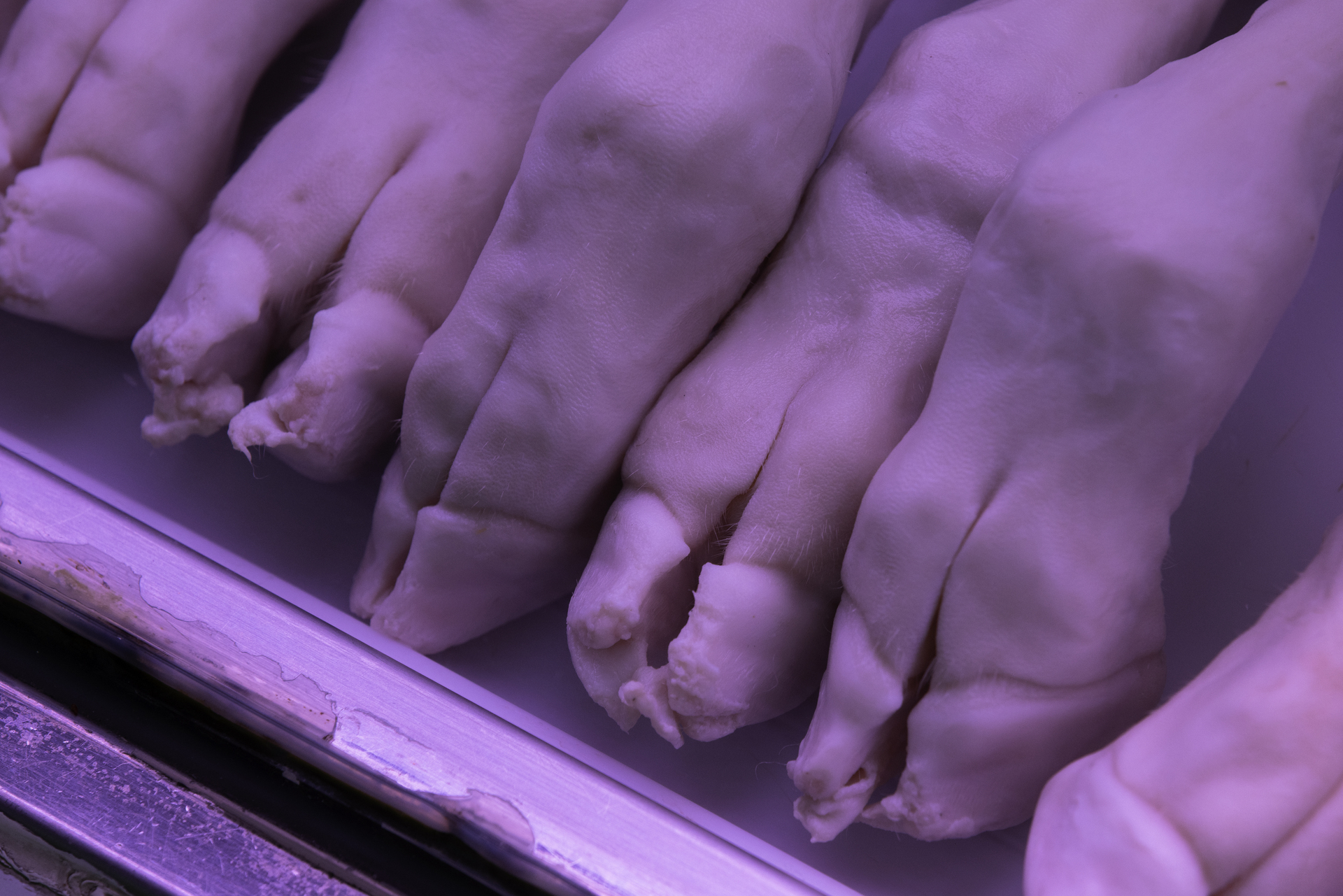 Fotografía 5 del mercado